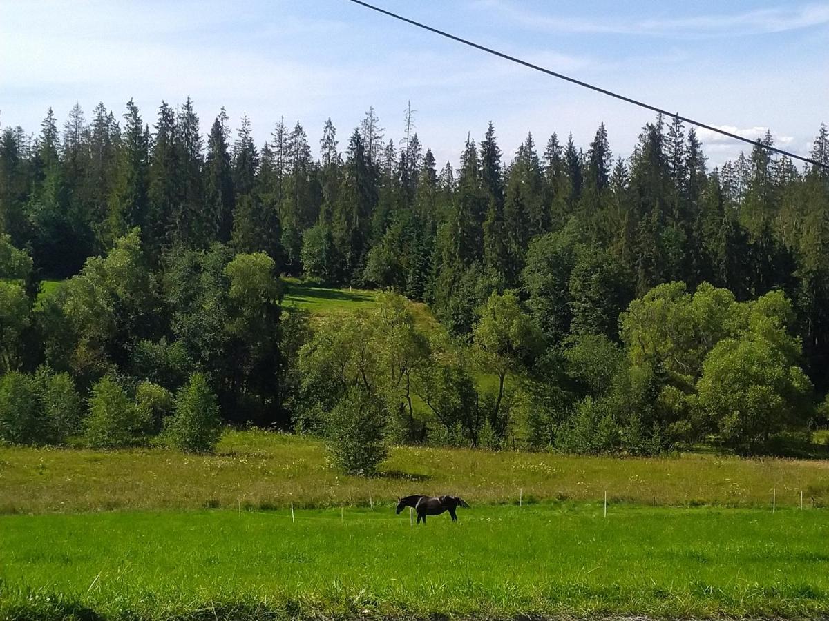 Domek U Mrugaly Poronin Luaran gambar